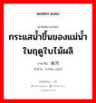 กระแสน้ำขึ้นของแม่น้ำในฤดูใบไม้ผลิ ภาษาจีนคืออะไร, คำศัพท์ภาษาไทย - จีน กระแสน้ำขึ้นของแม่น้ำในฤดูใบไม้ผลิ ภาษาจีน 春汛 คำอ่าน [chūn xùn]