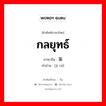 计策 ภาษาไทย?, คำศัพท์ภาษาไทย - จีน 计策 ภาษาจีน กลยุทธ์ คำอ่าน [jì cè]