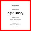 กลุ่มปรมาณู ภาษาจีนคืออะไร, คำศัพท์ภาษาไทย - จีน กลุ่มปรมาณู ภาษาจีน 原子团 คำอ่าน [yuán zǐ tuán]