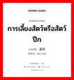 การเลี้ยงสัตว์หรือสัตว์ปีก ภาษาจีนคืออะไร, คำศัพท์ภาษาไทย - จีน การเลี้ยงสัตว์หรือสัตว์ปีก ภาษาจีน 畜牧 คำอ่าน [xù mù]