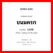 ขนมครก ภาษาจีนคืออะไร, คำศัพท์ภาษาไทย - จีน ขนมครก ภาษาจีน 浆米粉糕 คำอ่าน [jiāng mǐ fěn gāo]