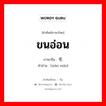 ขนอ่อน ภาษาจีนคืออะไร, คำศัพท์ภาษาไทย - จีน ขนอ่อน ภาษาจีน 纤毛 คำอ่าน [xiān máo]