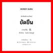 ขัดขืน ภาษาจีนคืออะไร, คำศัพท์ภาษาไทย - จีน ขัดขืน ภาษาจีน 违抗 คำอ่าน [wéi kàng]