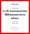 ขา เท้า ส่วนล่างของภาชนะที่มีลักษณะและบทบาทคล้ายขา ภาษาจีนคืออะไร, คำศัพท์ภาษาไทย - จีน ขา เท้า ส่วนล่างของภาชนะที่มีลักษณะและบทบาทคล้ายขา ภาษาจีน 足 คำอ่าน [zú]