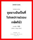 ขุนนางอันเป็นที่โปรดปราน(ของกษัตริย์) ภาษาจีนคืออะไร, คำศัพท์ภาษาไทย - จีน ขุนนางอันเป็นที่โปรดปราน(ของกษัตริย์) ภาษาจีน 幸臣 คำอ่าน [xìng chén]