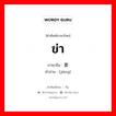 ข่า ภาษาจีนคืออะไร, คำศัพท์ภาษาไทย - จีน ข่า ภาษาจีน 姜 คำอ่าน [jiāng]