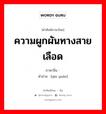 ความผูกผันทางสายเลือด ภาษาจีนคืออะไร, คำศัพท์ภาษาไทย - จีน ความผูกผันทางสายเลือด ภาษาจีน 亲缘 คำอ่าน [qīn yuán]