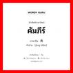 经典 ภาษาไทย?, คำศัพท์ภาษาไทย - จีน 经典 ภาษาจีน คัมภีร์ คำอ่าน [jīng diǎn]