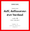 经典 ภาษาไทย?, คำศัพท์ภาษาไทย - จีน 经典 ภาษาจีน คัมภีร์, คัมภีร์ของศาสนาต่างๆ วิทยานิพนธ์ คำอ่าน [jīng diǎn ]