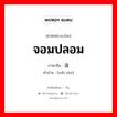 จอมปลอม ภาษาจีนคืออะไร, คำศัพท์ภาษาไทย - จีน จอมปลอม ภาษาจีน 伪造 คำอ่าน [wěi zào]