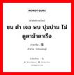 ชน ตำ เจอ พบ บุ่มบ่าม ไม่ดูตาม้าตาเรือ ภาษาจีนคืออะไร, คำศัพท์ภาษาไทย - จีน ชน ตำ เจอ พบ บุ่มบ่าม ไม่ดูตาม้าตาเรือ ภาษาจีน 撞 คำอ่าน [zhuàng]