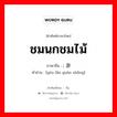 ; 游览观赏 ภาษาไทย?, คำศัพท์ภาษาไทย - จีน ; 游览观赏 ภาษาจีน ชมนกชมไม้ คำอ่าน [yóu lǎn guān shǎng]