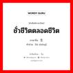 ชั่วชีวิตตลอดชีวิต ภาษาจีนคืออะไร, คำศัพท์ภาษาไทย - จีน ชั่วชีวิตตลอดชีวิต ภาษาจีน 毕生 คำอ่าน [bì shēng]