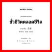 ชั่วชีวิตตลอดชีวิต ภาษาจีนคืออะไร, คำศัพท์ภาษาไทย - จีน ชั่วชีวิตตลอดชีวิต ภาษาจีน 百年 คำอ่าน [bǎi nián]