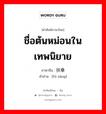 ชื่อต้นหม่อนในเทพนิยาย ภาษาจีนคืออะไร, คำศัพท์ภาษาไทย - จีน ชื่อต้นหม่อนในเทพนิยาย ภาษาจีน 扶桑 คำอ่าน [fú sāng]