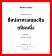 ชื่อปลาทะเลของจีนชนิดหนึ่ง ภาษาจีนคืออะไร, คำศัพท์ภาษาไทย - จีน ชื่อปลาทะเลของจีนชนิดหนึ่ง ภาษาจีน 鳒 คำอ่าน [jiān]