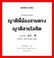 直系亲属 ภาษาไทย?, คำศัพท์ภาษาไทย - จีน 直系亲属 ภาษาจีน ญาติพี่น้องสายตรง ญาติสายโลหิต คำอ่าน [zhí xì qīn shǔ]