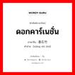 ดอกคาร์เนชั่น ภาษาจีนคืออะไร, คำศัพท์ภาษาไทย - จีน ดอกคาร์เนชั่น ภาษาจีน 香石竹 คำอ่าน [xiāng shí zhú]