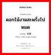 ดอกไม้งามสะพรั่งไปหมด ภาษาจีนคืออะไร, คำศัพท์ภาษาไทย - จีน ดอกไม้งามสะพรั่งไปหมด ภาษาจีน 姹紫嫣红 คำอ่าน [chà zǐ yān hóng]