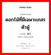 ดอกไม้ที่มีเฉพาะเกสรตัวผู้ ภาษาจีนคืออะไร, คำศัพท์ภาษาไทย - จีน ดอกไม้ที่มีเฉพาะเกสรตัวผู้ ภาษาจีน 雄花 คำอ่าน [xióng huā]