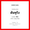 ดันทุรัง ภาษาจีนคืออะไร, คำศัพท์ภาษาไทย - จีน ดันทุรัง ภาษาจีน 硬挺 คำอ่าน [yìng tǐng]