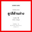 ดูวลีด้านล่าง ภาษาจีนคืออะไร, คำศัพท์ภาษาไทย - จีน ดูวลีด้านล่าง ภาษาจีน 伉 คำอ่าน [kàng]