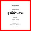 ดูวลีด้านล่าง ภาษาจีนคืออะไร, คำศัพท์ภาษาไทย - จีน ดูวลีด้านล่าง ภาษาจีน 珑 คำอ่าน [lóng]