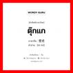 壁虎 ภาษาไทย?, คำศัพท์ภาษาไทย - จีน 壁虎 ภาษาจีน ตุ๊กแก คำอ่าน [bì hǔ]