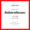 ต้นมัสตาดหิมะแดง ภาษาจีนคืออะไร, คำศัพท์ภาษาไทย - จีน ต้นมัสตาดหิมะแดง ภาษาจีน 蕻 คำอ่าน [hóng]