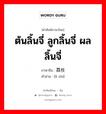 ต้นลิ้นจี่ ลูกลิ้นจี่ ผลลิ้นจี่ ภาษาจีนคืออะไร, คำศัพท์ภาษาไทย - จีน ต้นลิ้นจี่ ลูกลิ้นจี่ ผลลิ้นจี่ ภาษาจีน 荔枝 คำอ่าน [lì zhī]