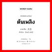 ต้นเพลิง ภาษาจีนคืออะไร, คำศัพท์ภาษาไทย - จีน ต้นเพลิง ภาษาจีน 火主 คำอ่าน [huǒ zhǔ]