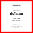 ต้นโคเคน ภาษาจีนคืออะไร, คำศัพท์ภาษาไทย - จีน ต้นโคเคน ภาษาจีน 高根 คำอ่าน [gāo gēn ]