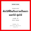 ต้นไม้ที่ยืนเรียงรายเป็นแถวแมกไม้ พุ่มไม้ ภาษาจีนคืออะไร, คำศัพท์ภาษาไทย - จีน ต้นไม้ที่ยืนเรียงรายเป็นแถวแมกไม้ พุ่มไม้ ภาษาจีน 行 คำอ่าน [hàng]