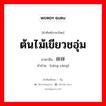 ต้นไม้เขียวชอุ่ม ภาษาจีนคืออะไร, คำศัพท์ภาษาไทย - จีน ต้นไม้เขียวชอุ่ม ภาษาจีน 牂牂 คำอ่าน [zāng zāng]