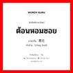 ต้อนหอมซอย ภาษาจีนคืออะไร, คำศัพท์ภาษาไทย - จีน ต้อนหอมซอย ภาษาจีน 葱花 คำอ่าน [cōng huā]