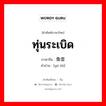 ทุ่นระเบิด ภาษาจีนคืออะไร, คำศัพท์ภาษาไทย - จีน ทุ่นระเบิด ภาษาจีน 鱼雷 คำอ่าน [yú léi]