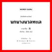 นกนางนวลทะเล ภาษาจีนคืออะไร, คำศัพท์ภาษาไทย - จีน นกนางนวลทะเล ภาษาจีน 海鸥 คำอ่าน [hǎi ōu]