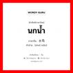 นกน้ำ ภาษาจีนคืออะไร, คำศัพท์ภาษาไทย - จีน นกน้ำ ภาษาจีน 水鸟 คำอ่าน [shuǐ niǎo]