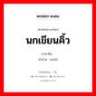 นกเขียนคิ้ว ภาษาจีนคืออะไร, คำศัพท์ภาษาไทย - จีน นกเขียนคิ้ว ภาษาจีน 鹛 คำอ่าน [méi]