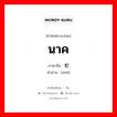 蛇 ภาษาไทย?, คำศัพท์ภาษาไทย - จีน 蛇 ภาษาจีน นาค คำอ่าน [shé]