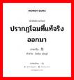 显形 ภาษาไทย?, คำศัพท์ภาษาไทย - จีน 显形 ภาษาจีน ปรากฏโฉมที่แท้จริงออกมา คำอ่าน [xiǎn xíng]