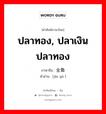 ปลาทอง, ปลาเงินปลาทอง ภาษาจีนคืออะไร, คำศัพท์ภาษาไทย - จีน ปลาทอง, ปลาเงินปลาทอง ภาษาจีน 金鱼 คำอ่าน [jīn yú ]