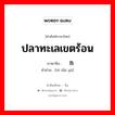 ปลาทะเลเขตร้อน ภาษาจีนคืออะไร, คำศัพท์ภาษาไทย - จีน ปลาทะเลเขตร้อน ภาษาจีน 热带鱼 คำอ่าน [rè dài yú]