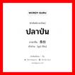 ปลาป่น ภาษาจีนคืออะไร, คำศัพท์ภาษาไทย - จีน ปลาป่น ภาษาจีน 鱼粉 คำอ่าน [yú fěn]