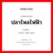 ปลาไหลไฟฟ้า ภาษาจีนคืออะไร, คำศัพท์ภาษาไทย - จีน ปลาไหลไฟฟ้า ภาษาจีน 电鳗 คำอ่าน [diàn màn]