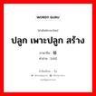 ปลูก เพาะปลูก สร้าง ภาษาจีนคืออะไร, คำศัพท์ภาษาไทย - จีน ปลูก เพาะปลูก สร้าง ภาษาจีน 植 คำอ่าน [zhí]