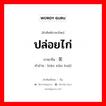 闹笑话 ภาษาไทย?, คำศัพท์ภาษาไทย - จีน 闹笑话 ภาษาจีน ปล่อยไก่ คำอ่าน [nào xiào huà]