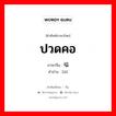 ปวดคอ ภาษาจีนคืออะไร, คำศัพท์ภาษาไทย - จีน ปวดคอ ภาษาจีน 嗌 คำอ่าน [ài]