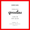 ปูกระเบื้อง ภาษาจีนคืออะไร, คำศัพท์ภาษาไทย - จีน ปูกระเบื้อง ภาษาจีน 铺瓦 คำอ่าน [pū wǎ]