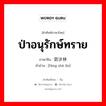 ป่าอนุรักษ์ทราย ภาษาจีนคืออะไร, คำศัพท์ภาษาไทย - จีน ป่าอนุรักษ์ทราย ภาษาจีน 防沙林 คำอ่าน [fáng shā lín]